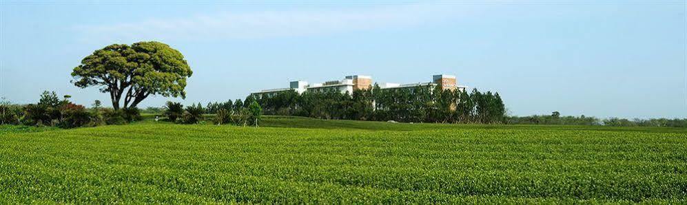 Jeju Aerospace Hotel Seogwipo Dış mekan fotoğraf