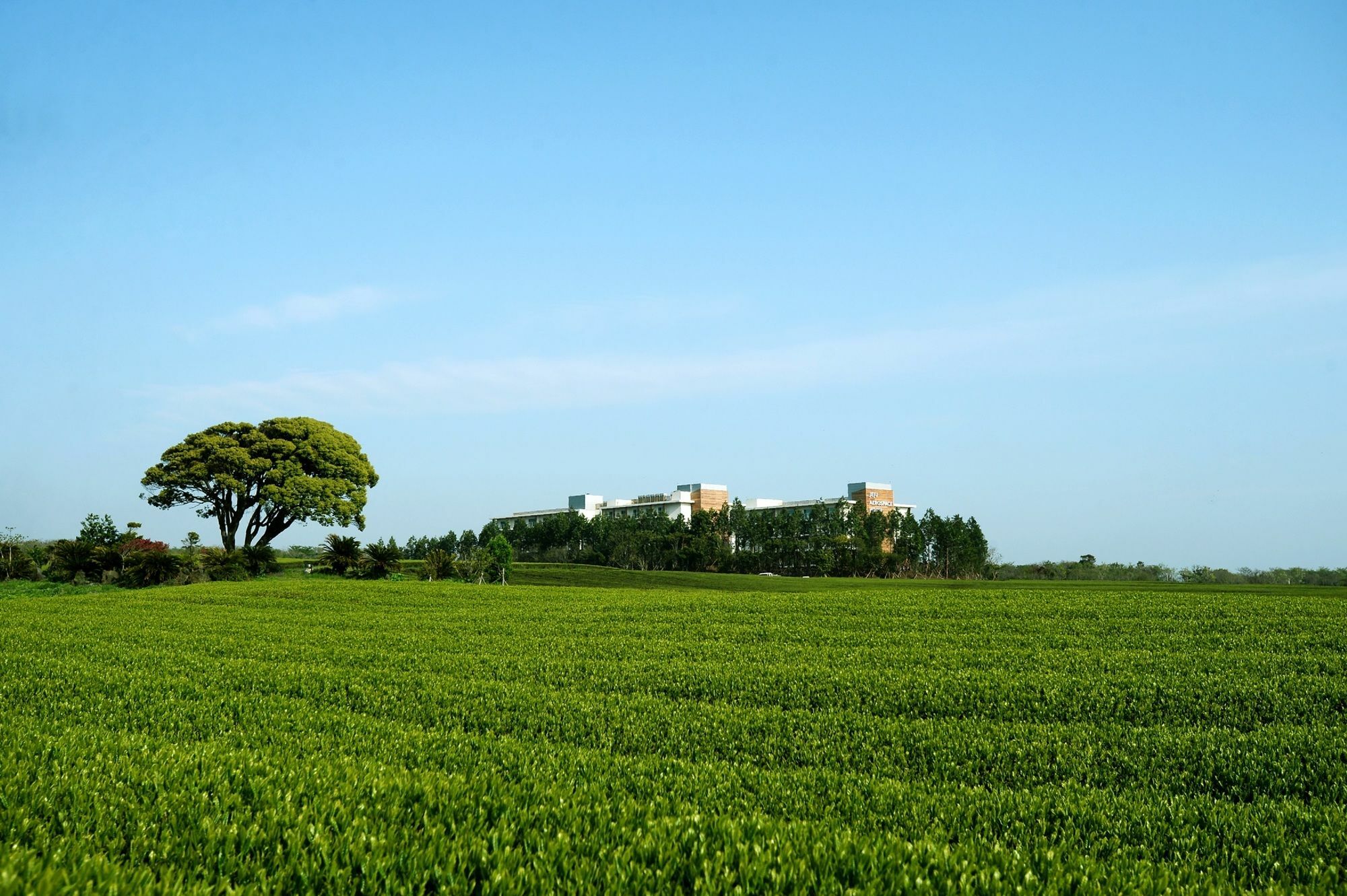 Jeju Aerospace Hotel Seogwipo Dış mekan fotoğraf